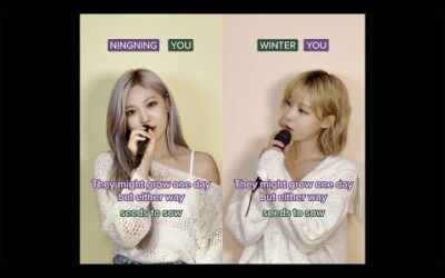 ⭐️ WINTER + NINGNING 🦋= Perfect Duet! 💯