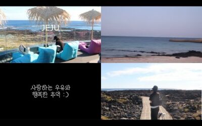 강아지와 추억 여행 VLOG 제주도 with 우유 ✈