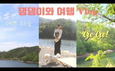 댕댕이와 여행하기☁️ VLOG with MY DOGGY 우유.통통🤍