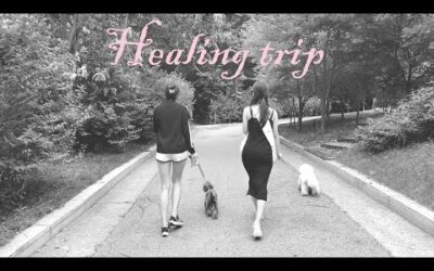 [여행Vlog] 여자 둘이서 우당탕탕 홍천 🤷‍♀️🤷‍♀️💗 + 홍천 힐링 여행 + 강아지 육아 브이로그 + 강아지와 등산하기⛰🤞