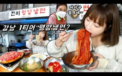 생애 두번째 평냉도전!🙂미슐랭맛집 논현동 진미평양냉면,불고기 먹방