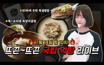 비비고가 2년간 전국 유명 노포 맛집을 돌아다니며 연구한 특설렁탕 & 특양지곰탕!