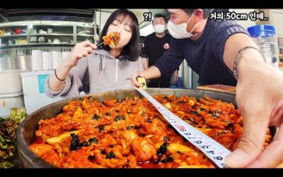 초대왕철판에 더이상 안들어간대요..🤦‍♂️ 중화닭갈비 볶음밥 먹방