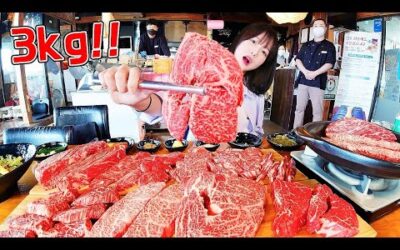 제 소고기 단골집을 공개합니다..🔥 단골사장님도 놀란 소고기 먹방