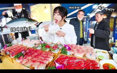 16kg 대왕방어😱?? 손님들도 놀란 돼지방어 먹방