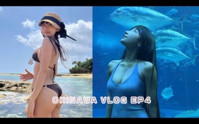 드디어 감격의 맑은 날! 츄라우미 수족관 그리고 비세자키ㅣ오키나와 브이로그 4편