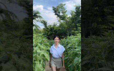 푸릇푸릇 정기를 듬뿍 ~🕊️🕊️🕊️ MBCevery1 32강 크리에이터 토너먼트 ‘원픽’ㅣ대가야생활촌ㅣ여행룩북ㅣㅣ룩북브이로그ㅣtravelvlogㅣkoreatravel