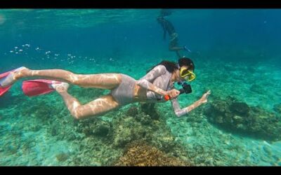 [룩북] 발리카삭 스노우쿨링 중,보홀여행,호핑투어,다이빙,레쉬가드 비키니 추천🩱,보홀,버진아일랜드,모노빈제이,monobinj,수영복,swimwear lookbook