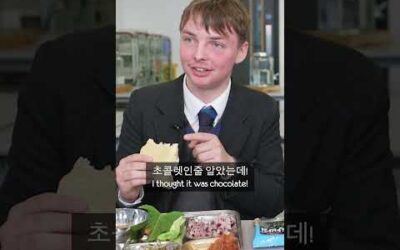 Korean FISH Ice Cream!