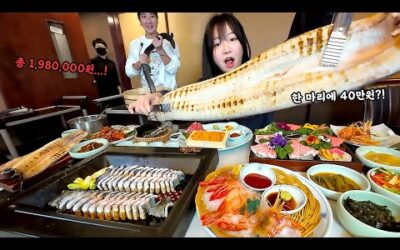 한끼에 200만원 나왔습니다..😱 살아있는 장어를 40만원에?! 꽃새우 참치 먹방