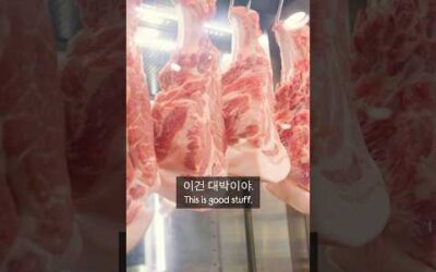 Jeju Black pig is CRAZY