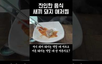 잔인한 음식 애저찜