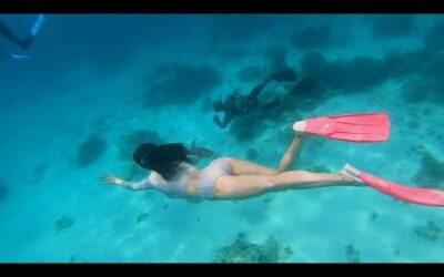 [ENG]VLOG I’m in Bohol 발리카삭ㅣ보홀스노클링ㅣ버진아일랜드ㅣ보홀바베큐ㅣ보홀거북이ㅣ여행브이로그ㅣSnorkelingㅣtravelvlogㅣvlog